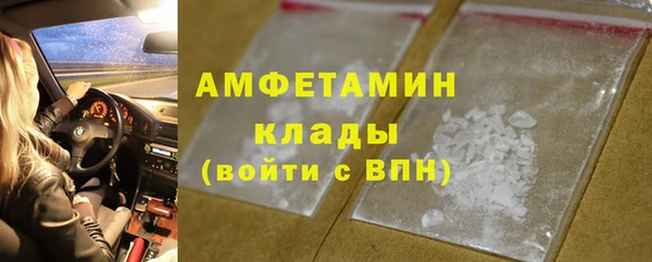 стаф Алексин