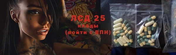 стаф Алексин