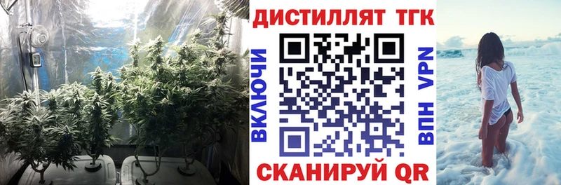 ТГК вейп с тгк  Ессентукская 